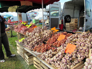 Zwiebeln und Knoblauch