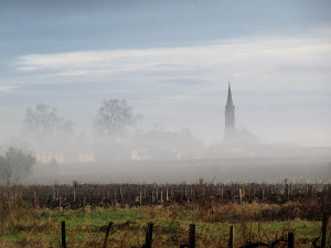 Morgennebel