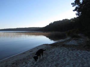 Lac d'Hourtin