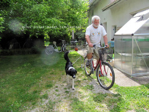 Fahrradhalter für den Hund